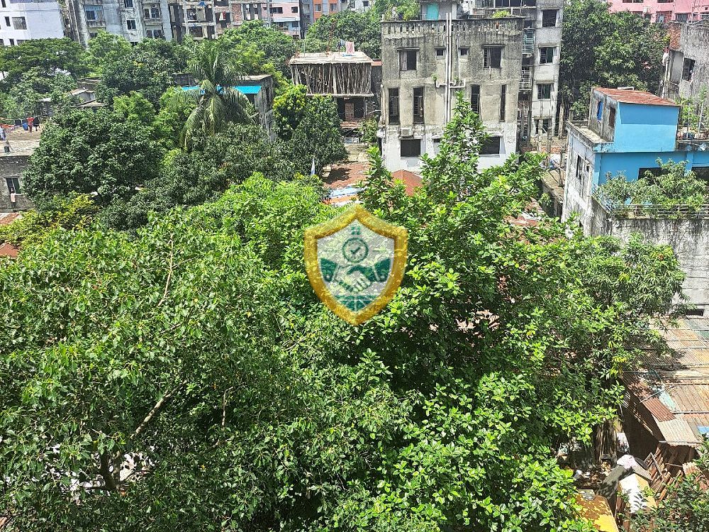 ৩৩ শতক জমি — দেবিদ্বার, কুমিল্লা