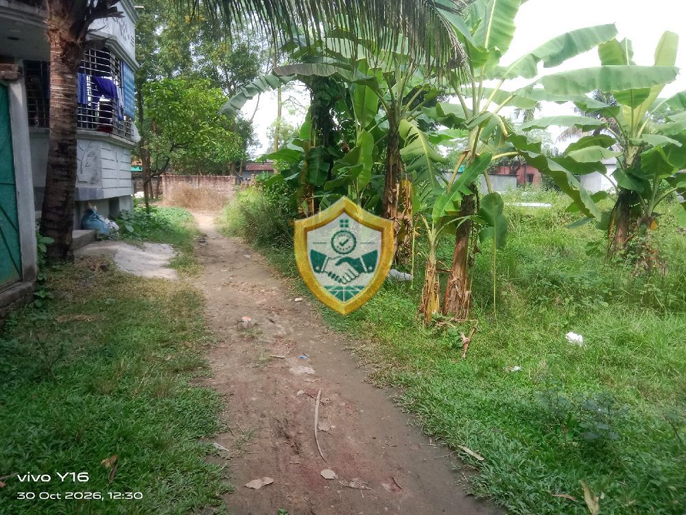 ২.৫০কাঠা